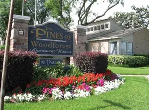 PINES OF WOODFOREST APARTMENTS