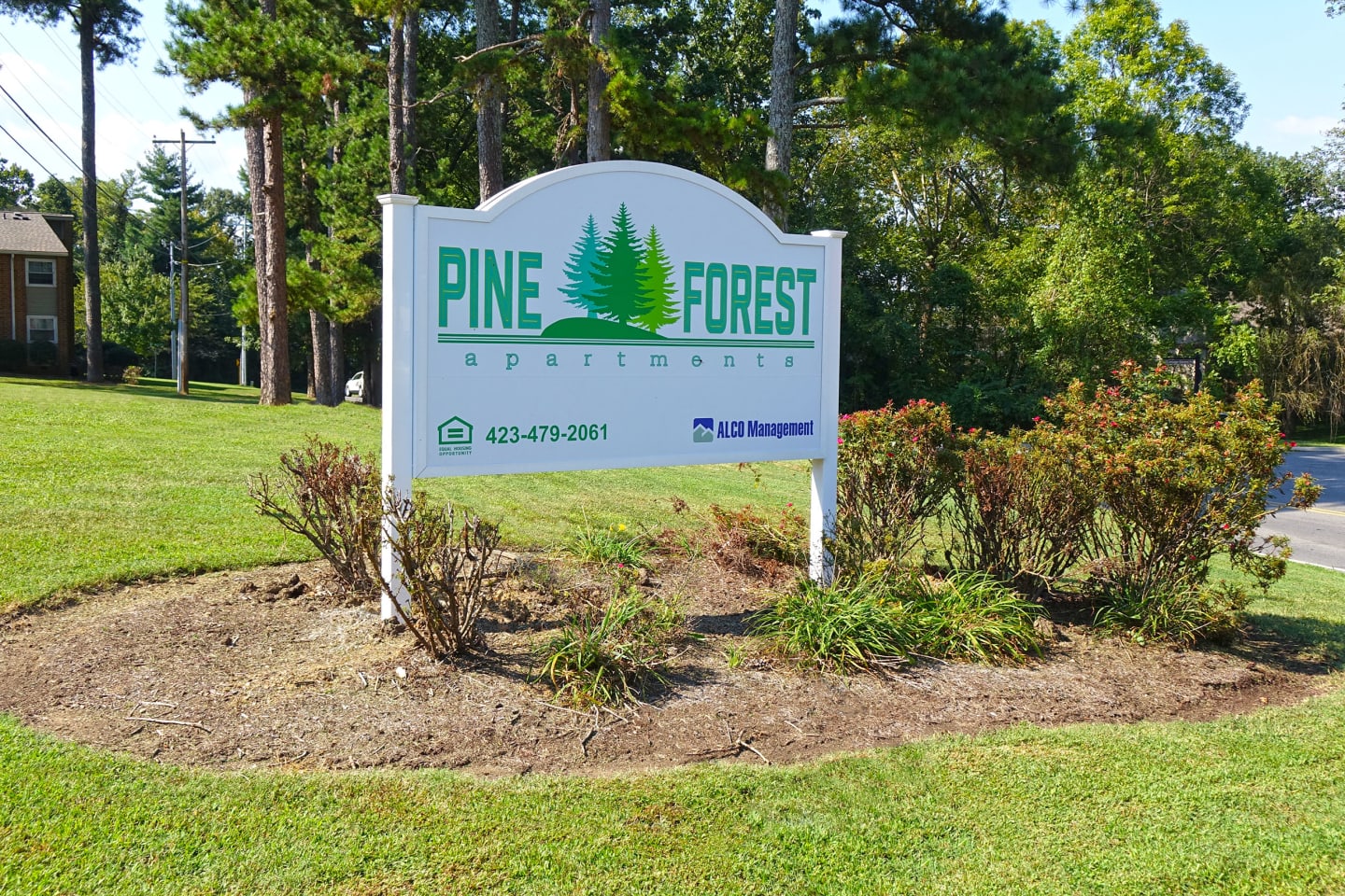 PINE FOREST APARTMENTS