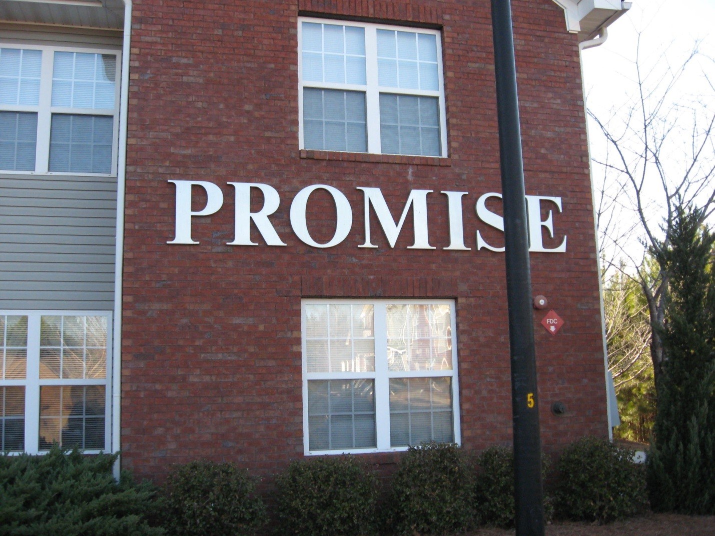 THE PROMISE PROJECT