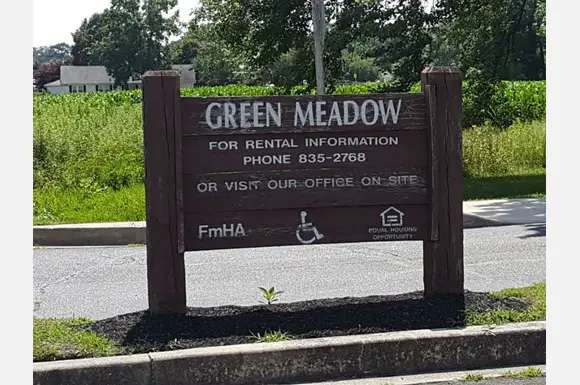 GREEN MEADOW