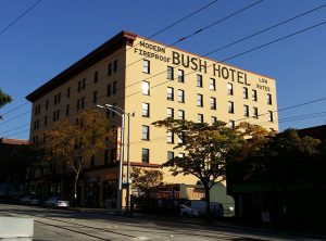 BUSH HOTEL