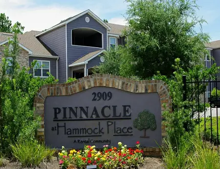 PINNACLE AT HAMMOCK PLACE